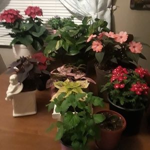 Meet your Posher, Pamela